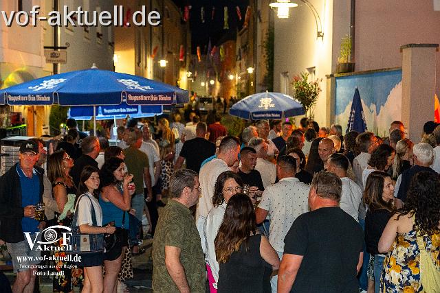 Foto Laudi Donaugassenfest-58.jpg